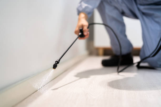 Licensed Pest Control service in Hoisington, KS - Show Me Pest Control